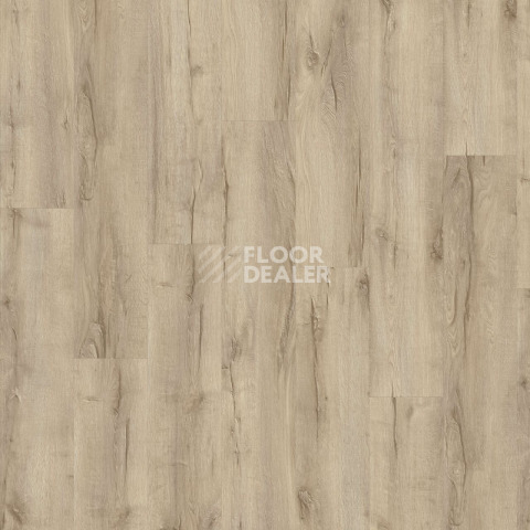 Moduleo Next дерево Highland Oak 238 фото 4 | FLOORDEALER